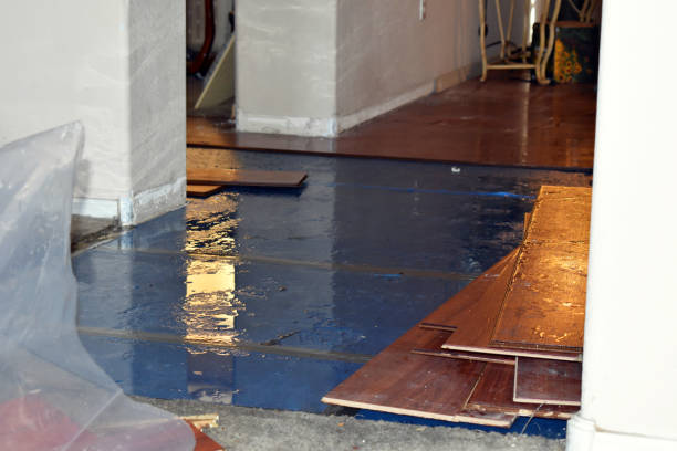 Professional Storm Water Damage Restoration technician working in Butler, NJ